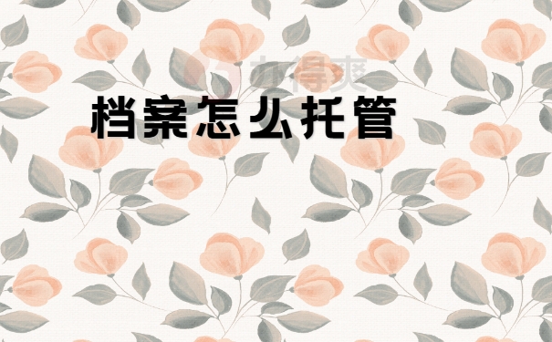 档案托管