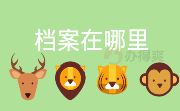 的档案在哪里