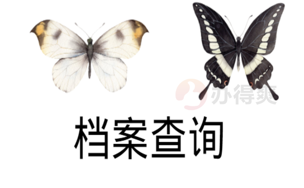 档案在哪里 