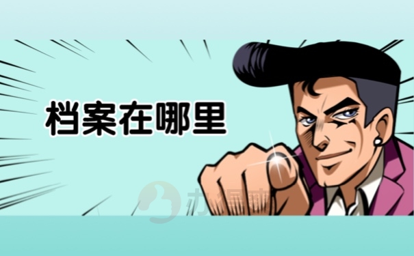 档案在哪里
