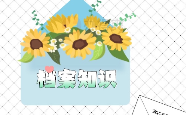 档案