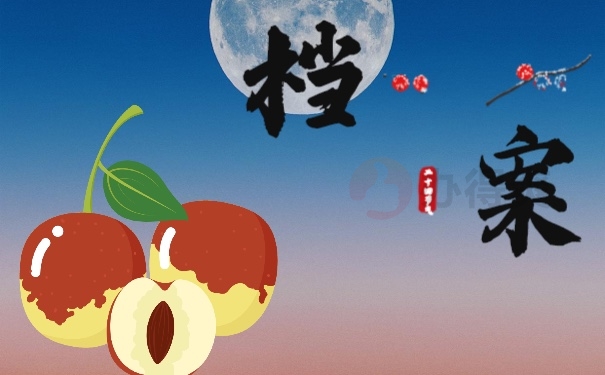档案