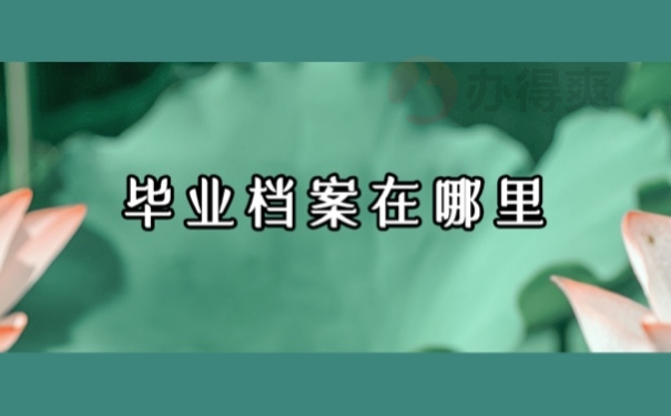 毕业档案在哪里