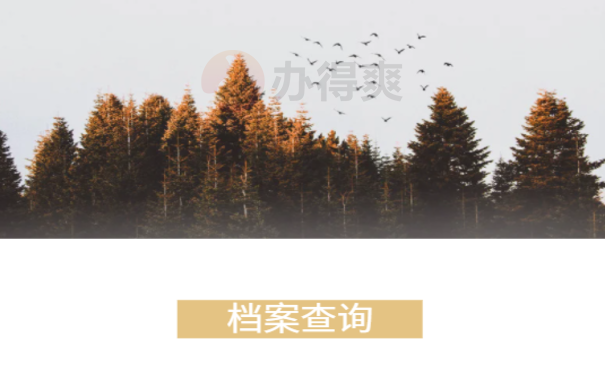 档案查询