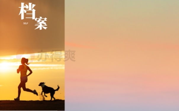 档案