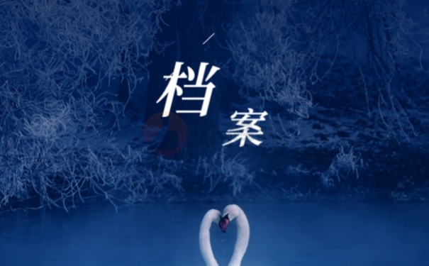 档案
