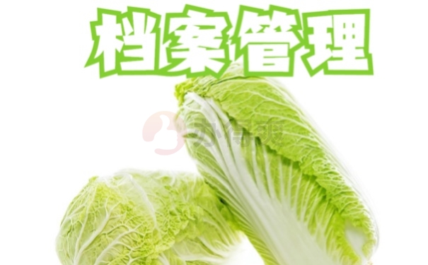 档案