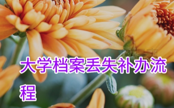 档案