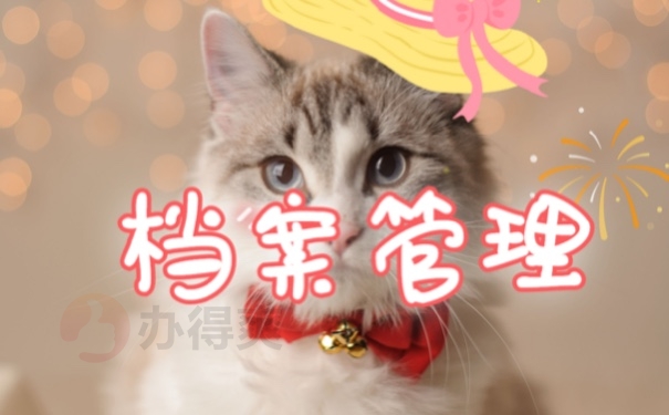 档案