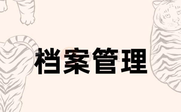 档案