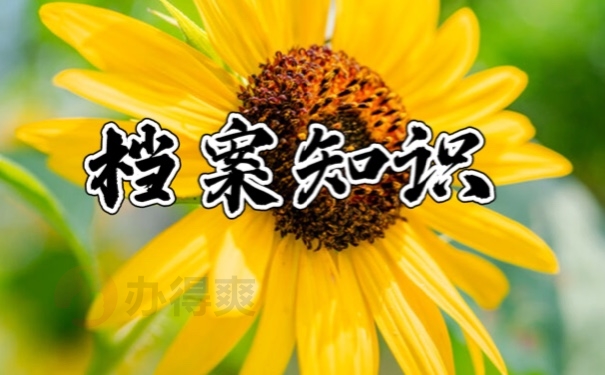 档案