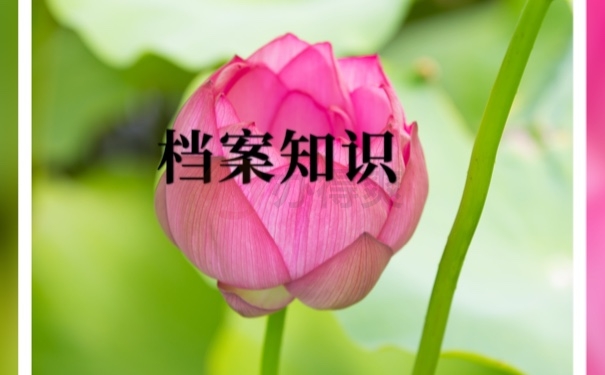 档案