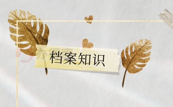 档案
