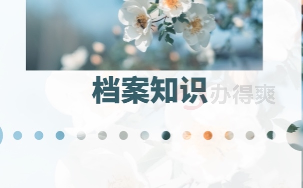 档案