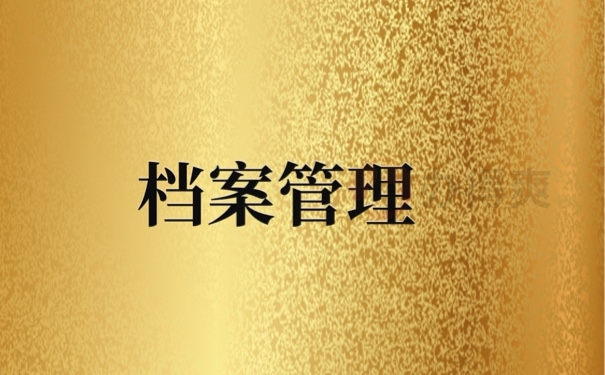 档案