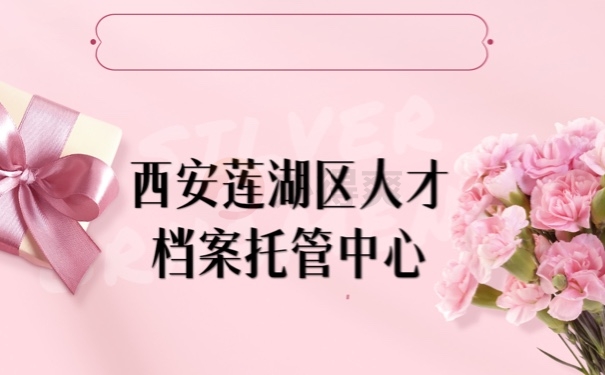 档案