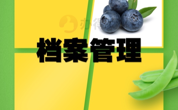 档案