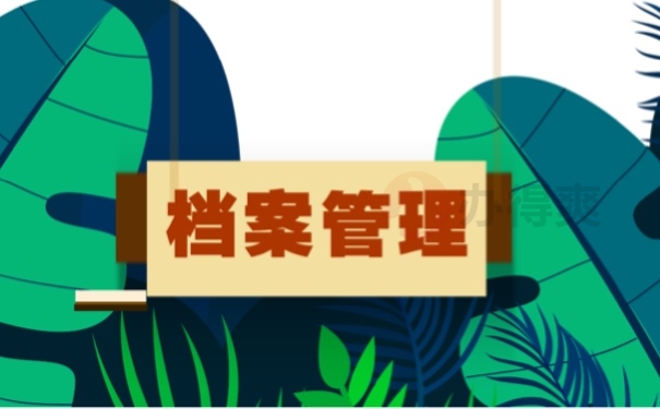档案