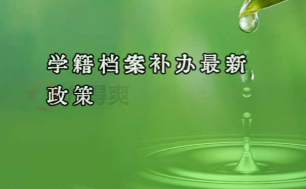 档案