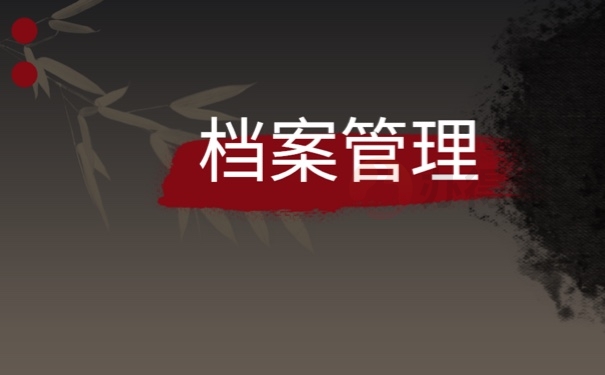 档案