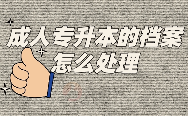 档案