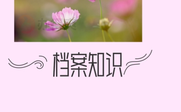 档案