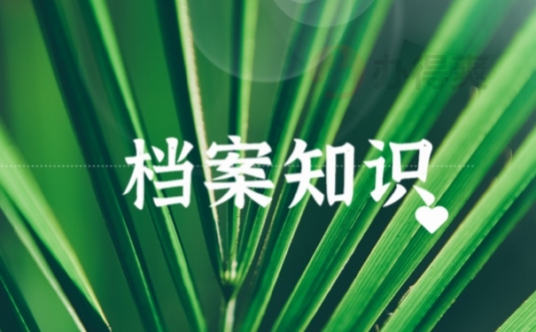 档案