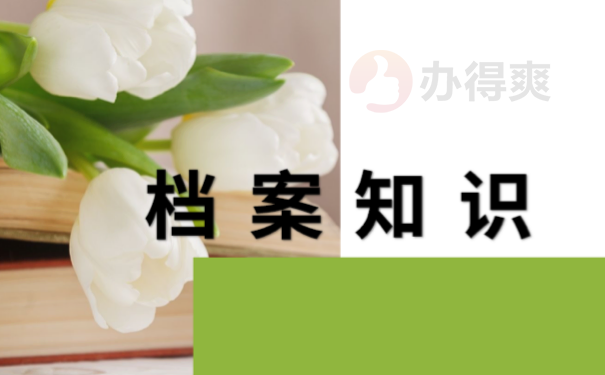 档案