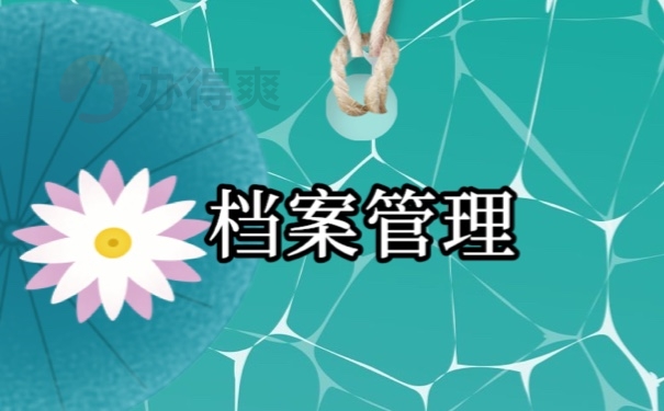 档案