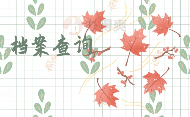 档案查询