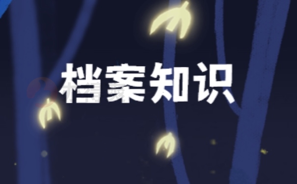 档案