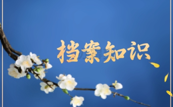 档案