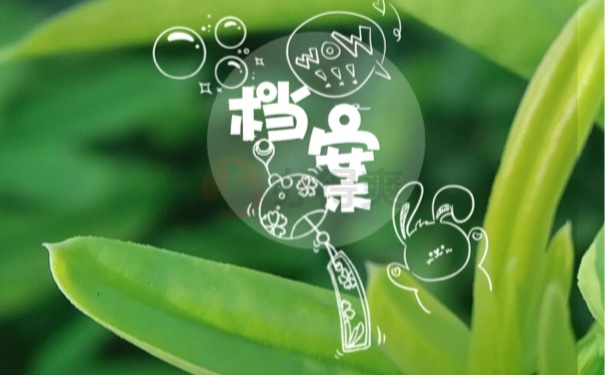 档案
