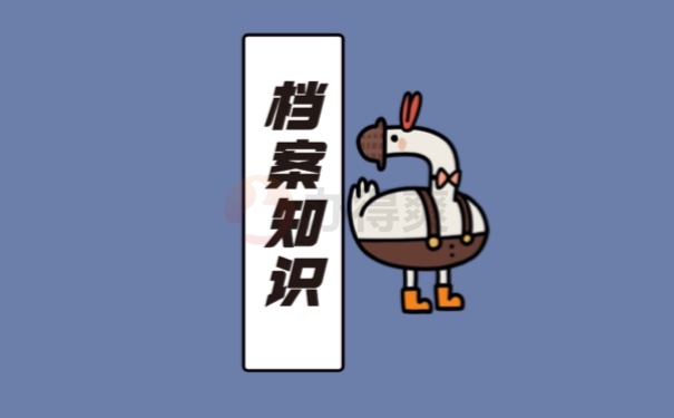 档案