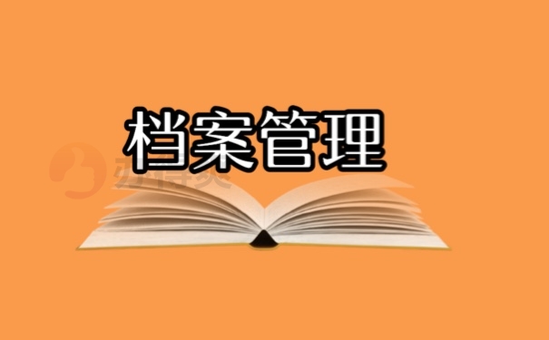 档案