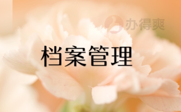 档案