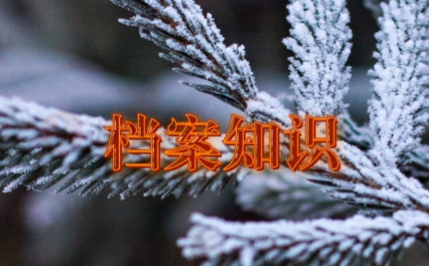 档案