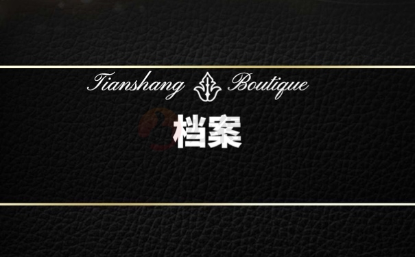 档案
