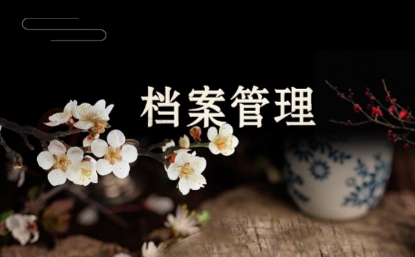 档案