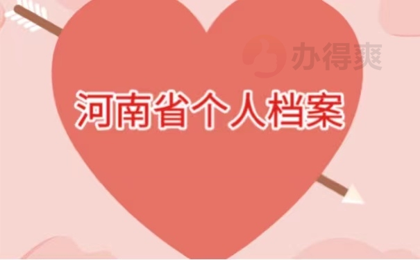 河南省个人档案
