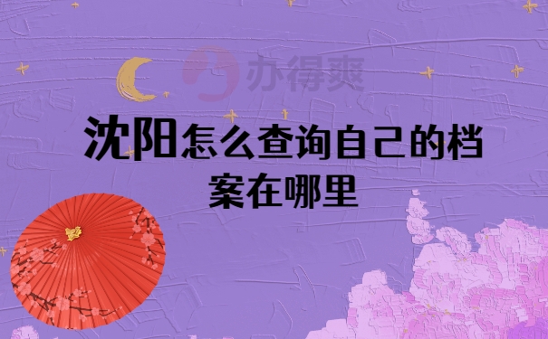 沈阳怎么查询自己的档案在哪里