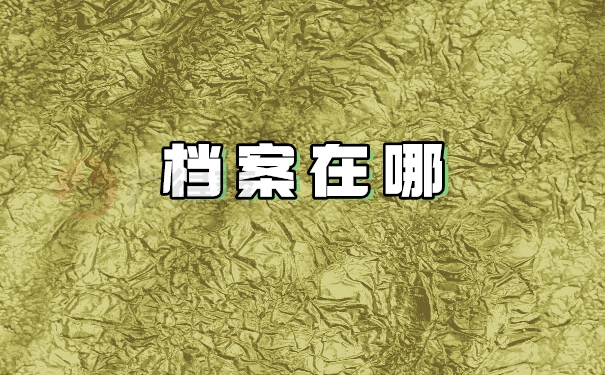 档案在哪