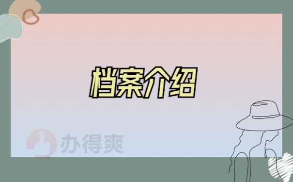 档案