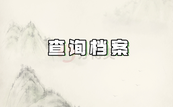 查询档案