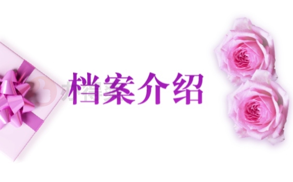 档案