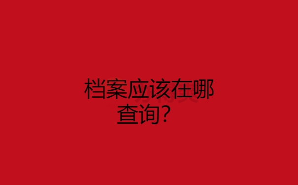 档案怎么查询？