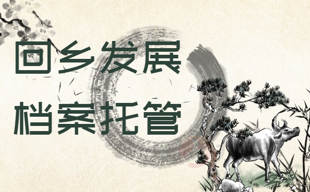 回乡发展档案管理