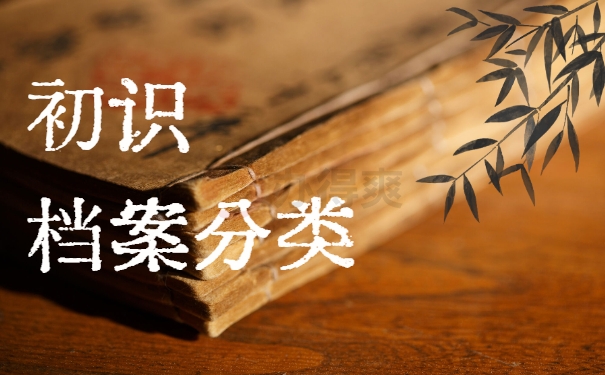 初识档案分类