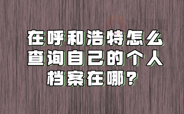 在呼和浩特怎么查询个人档案？