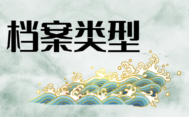 档案类型